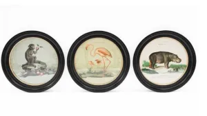 38 cm Round Vintage Safari Wall Picture Assorted Designs