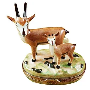 African Antelope with Baby