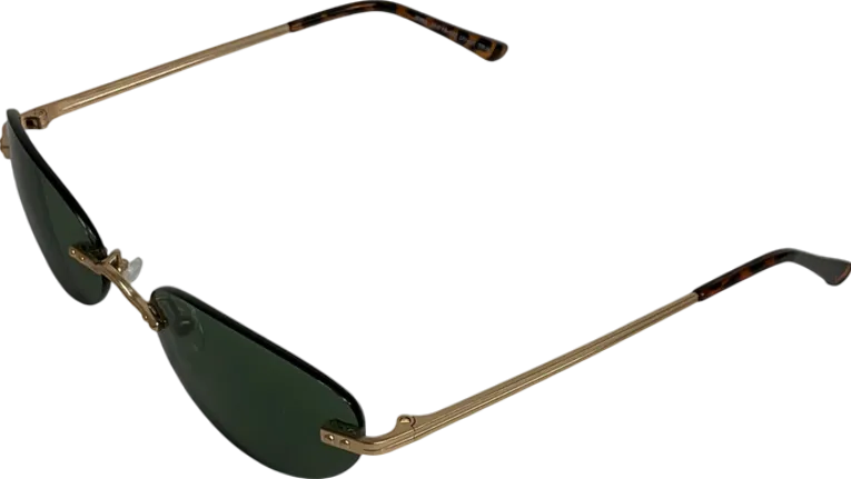 AV sunglasses Metallic Irina Green And Gold Sunglasses in case