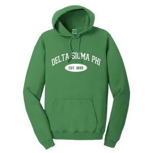Delta Sigma Phi Hooded Pullover Vintage Sweatshirt