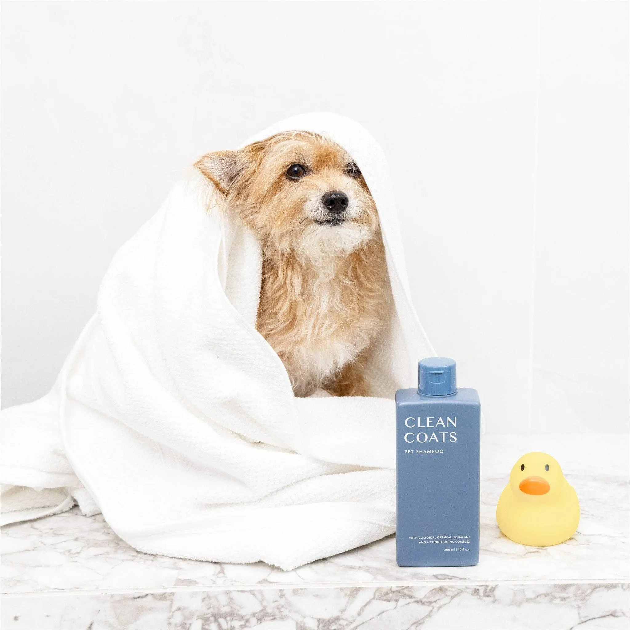 Dog Shampoo 2 in1 For Itching, Conditioning and Smelly Dogs
