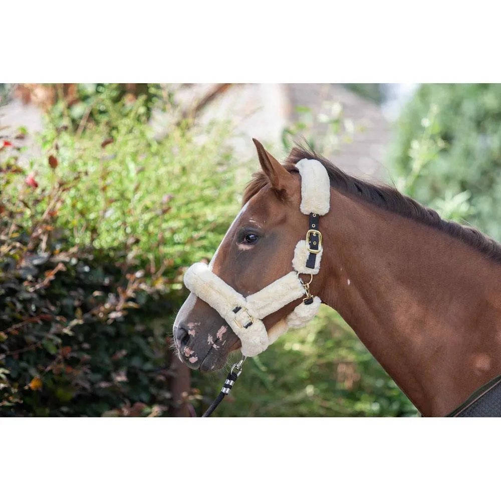 Eco Rider Supreme Headcollar - Ultimate Luxury with Softest Faux Sheepskin