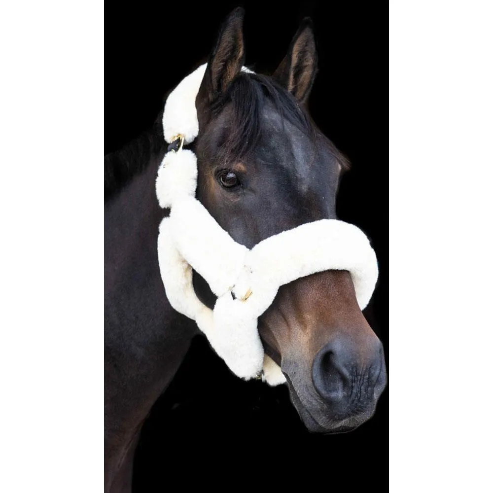 Eco Rider Supreme Headcollar - Ultimate Luxury with Softest Faux Sheepskin