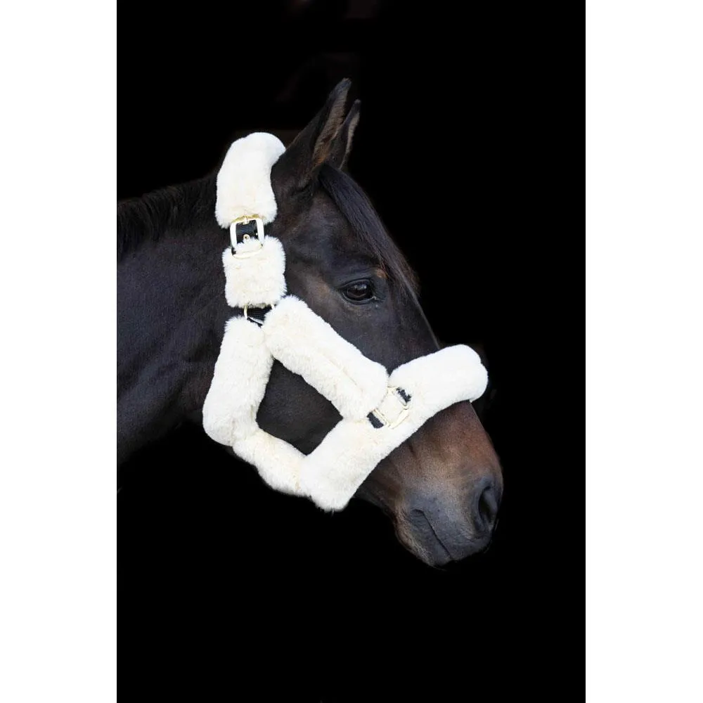 Eco Rider Supreme Headcollar - Ultimate Luxury with Softest Faux Sheepskin