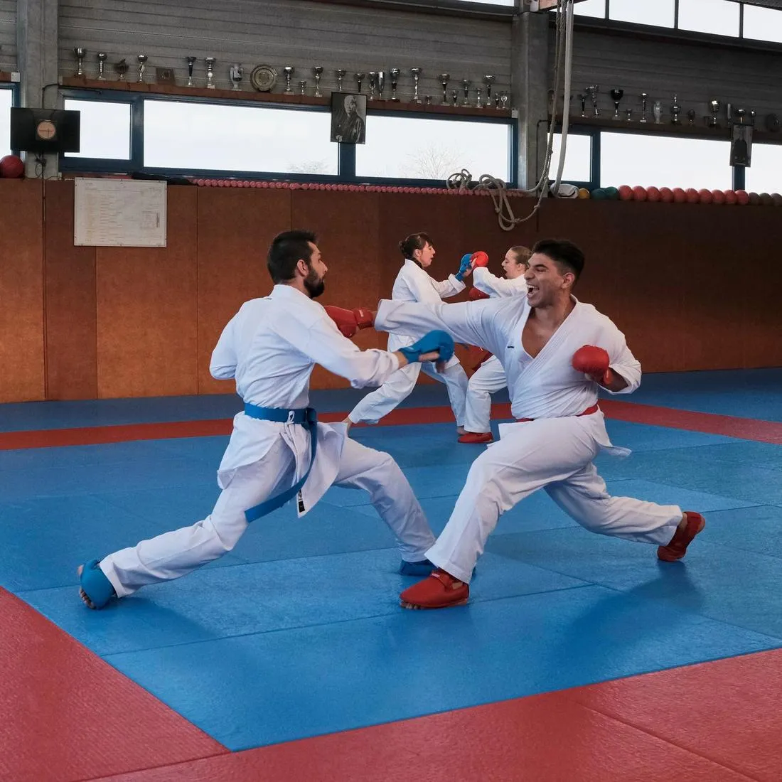 Karate Mitts 900 - Red