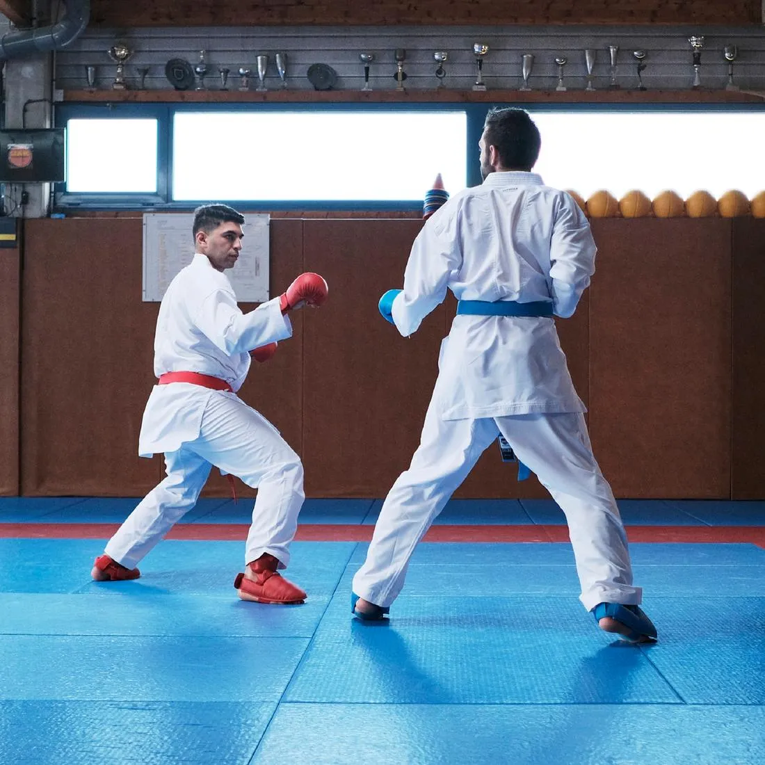 Karate Mitts 900 - Red