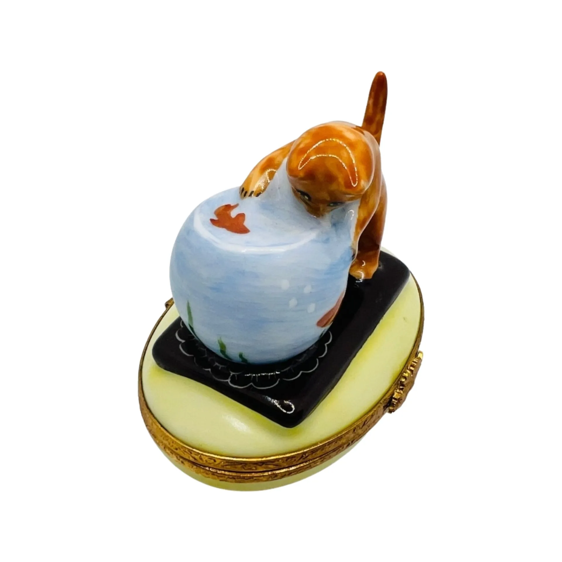 Kitten w Fish Bowl