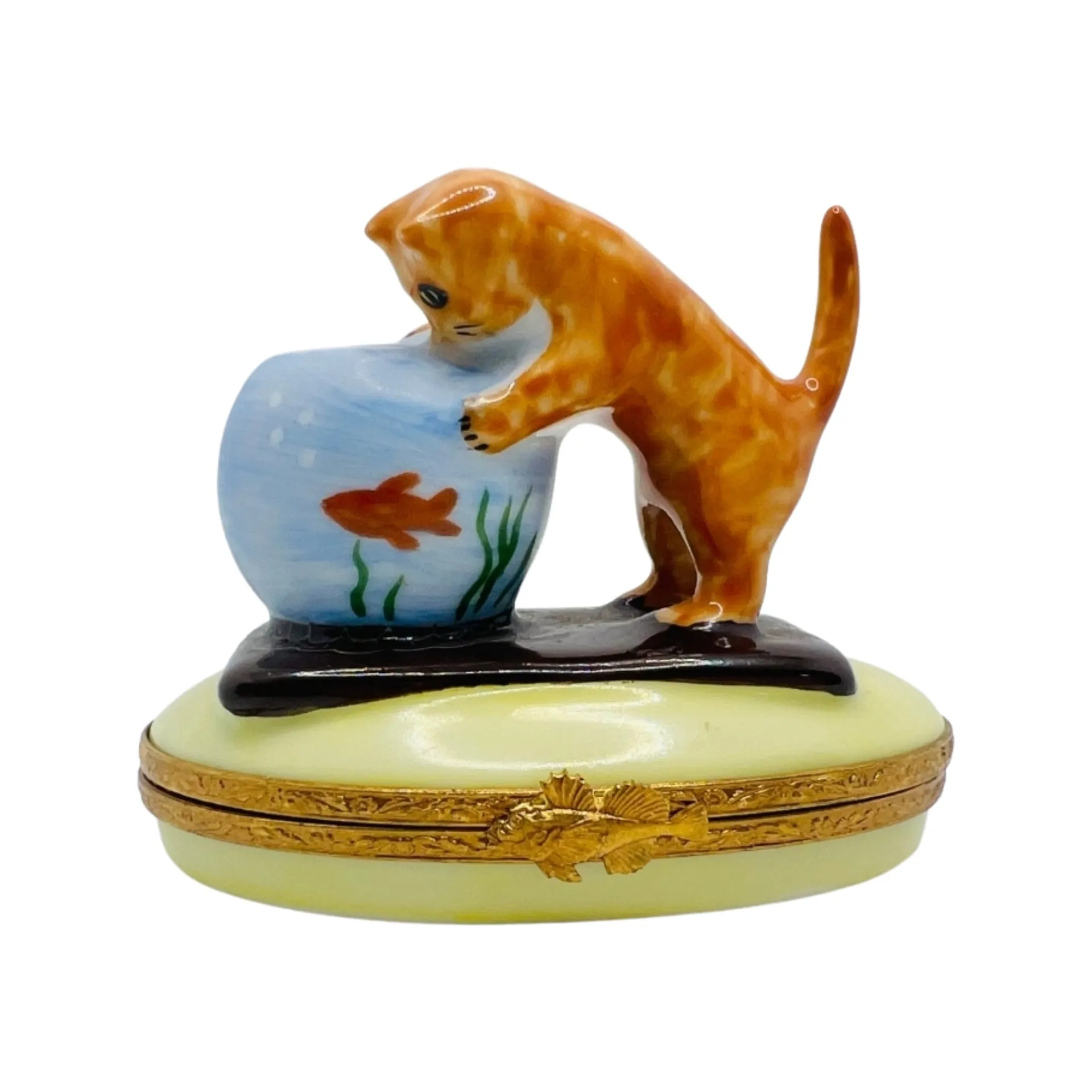 Kitten w Fish Bowl