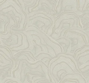 KT2164 Geodes Wallpaper-Taupe