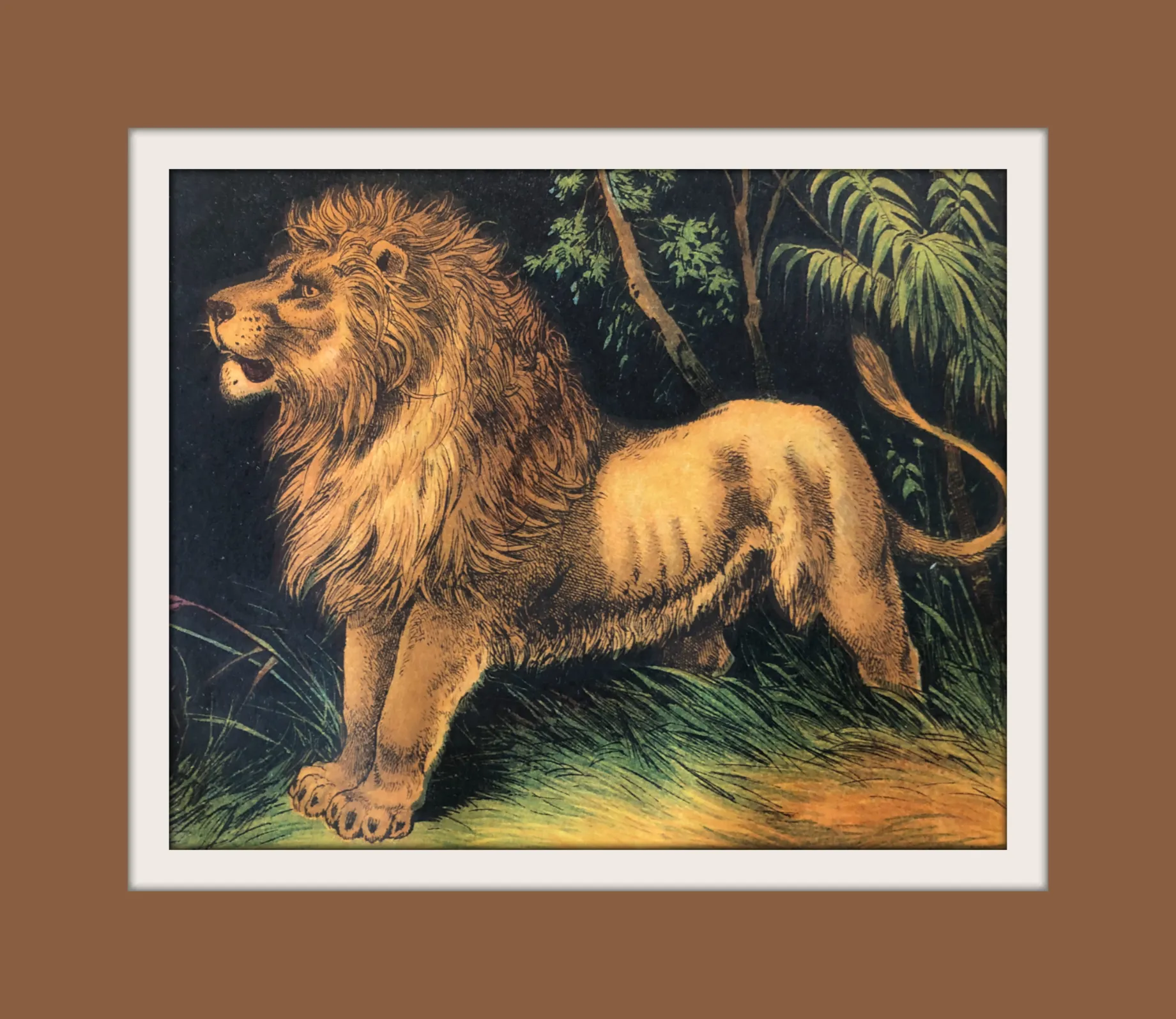 Lion
