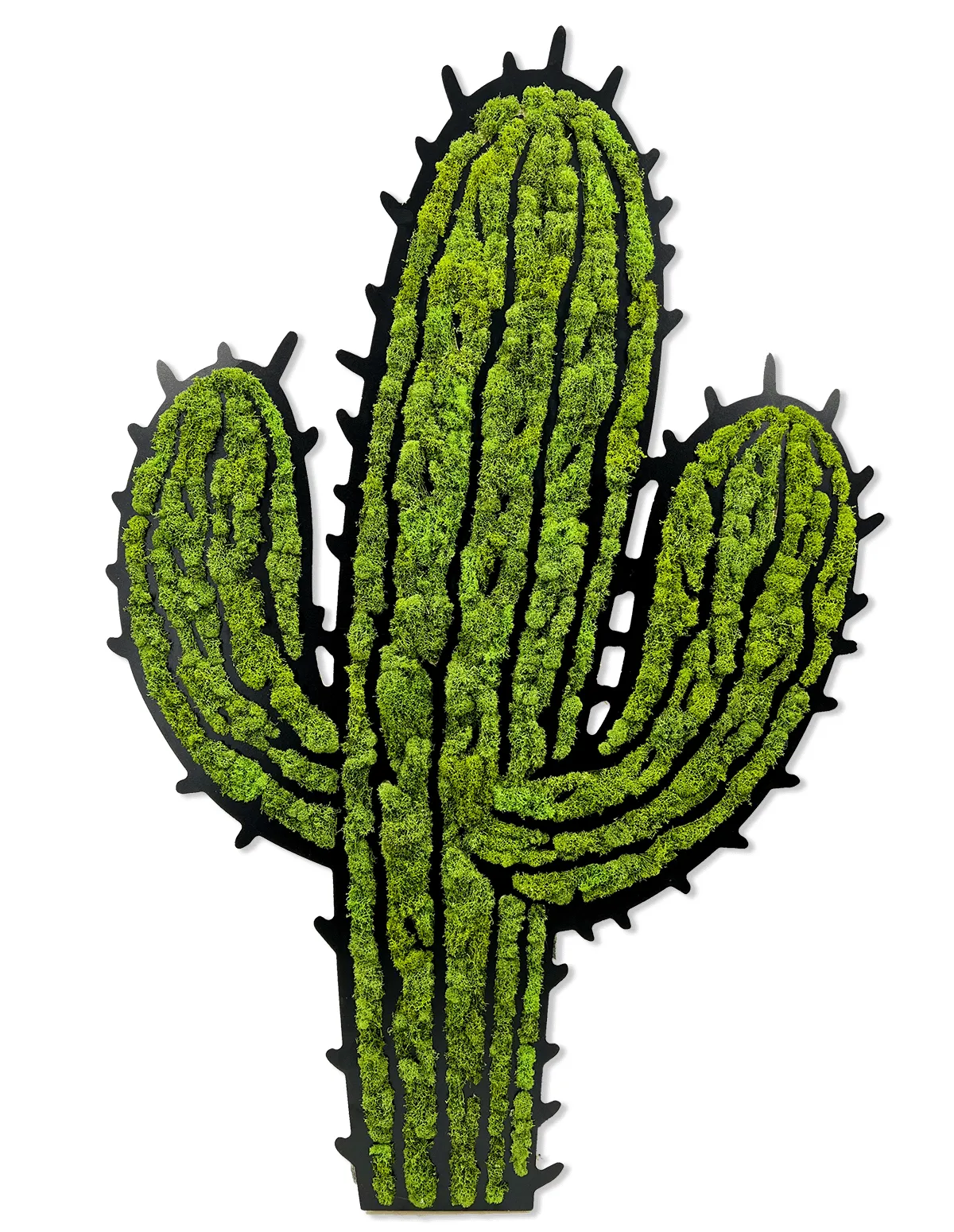 Moss Wall Art - Cactus