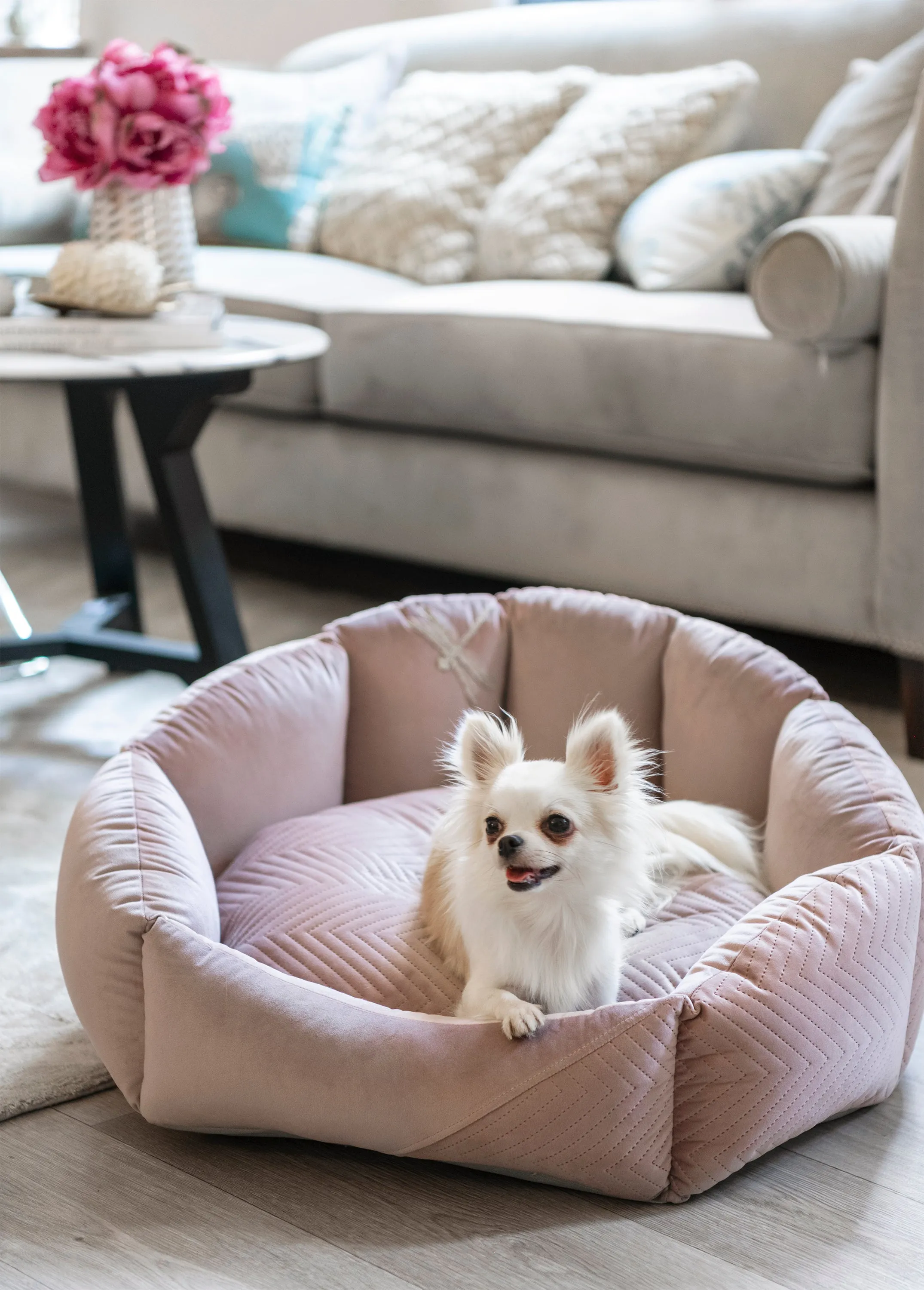 Oh Charlie Round Dog Bed Blissy