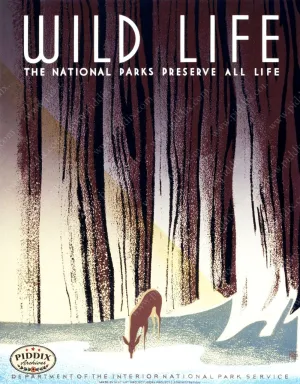 PDXC2403 -- Vintage Travel Posters