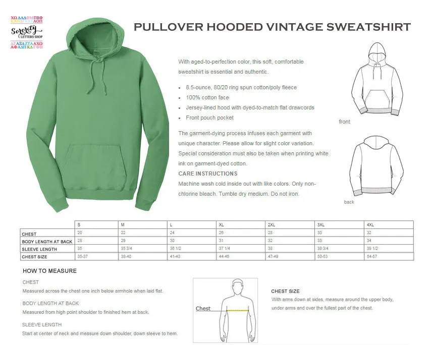Phi Delta Theta Hooded Pullover Vintage Sweatshirt