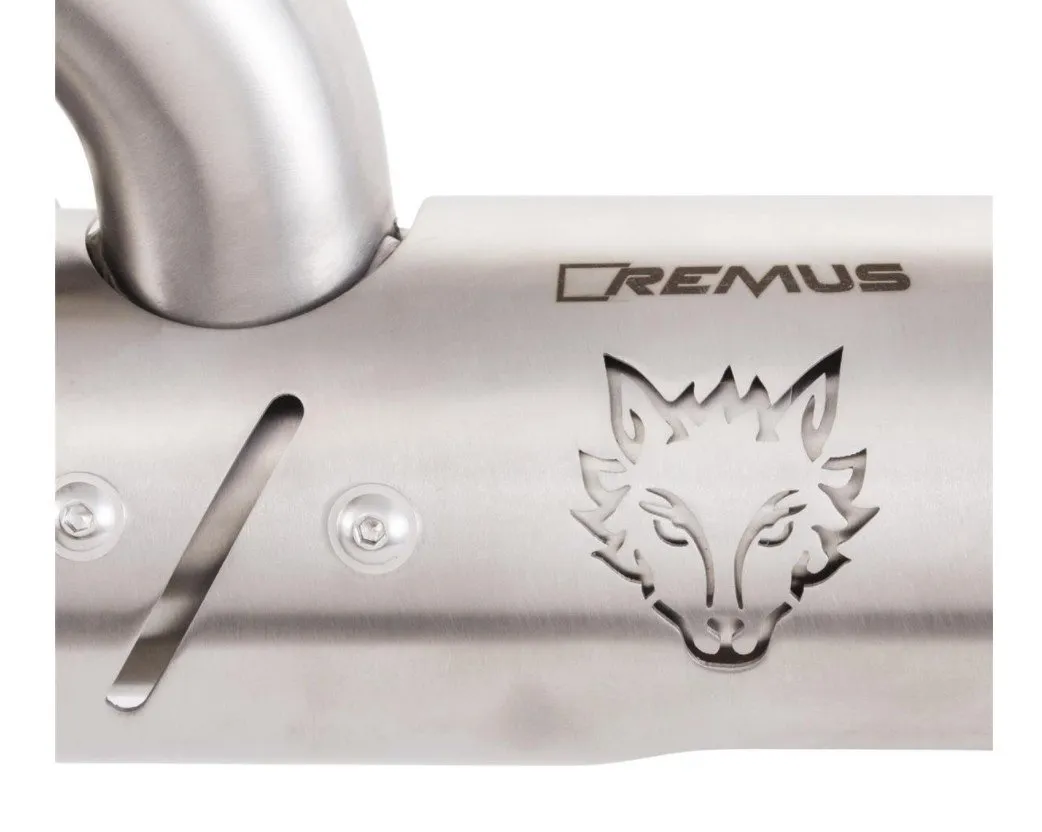 Racing Exhaust REMUS Dual Flow Carbon | Vespa GTS Models 300cc (`16-`18) E4