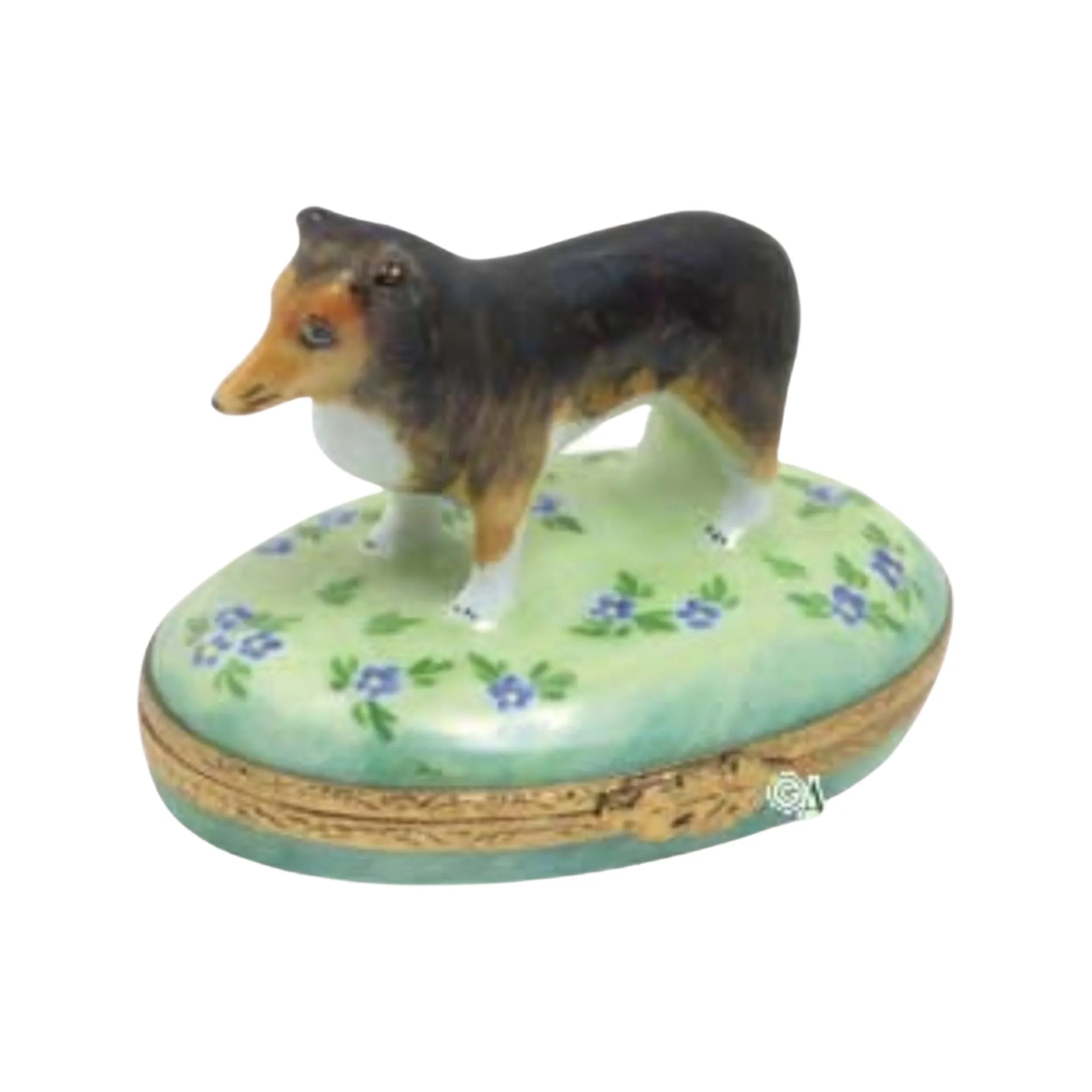 Shetland Sheep Dog