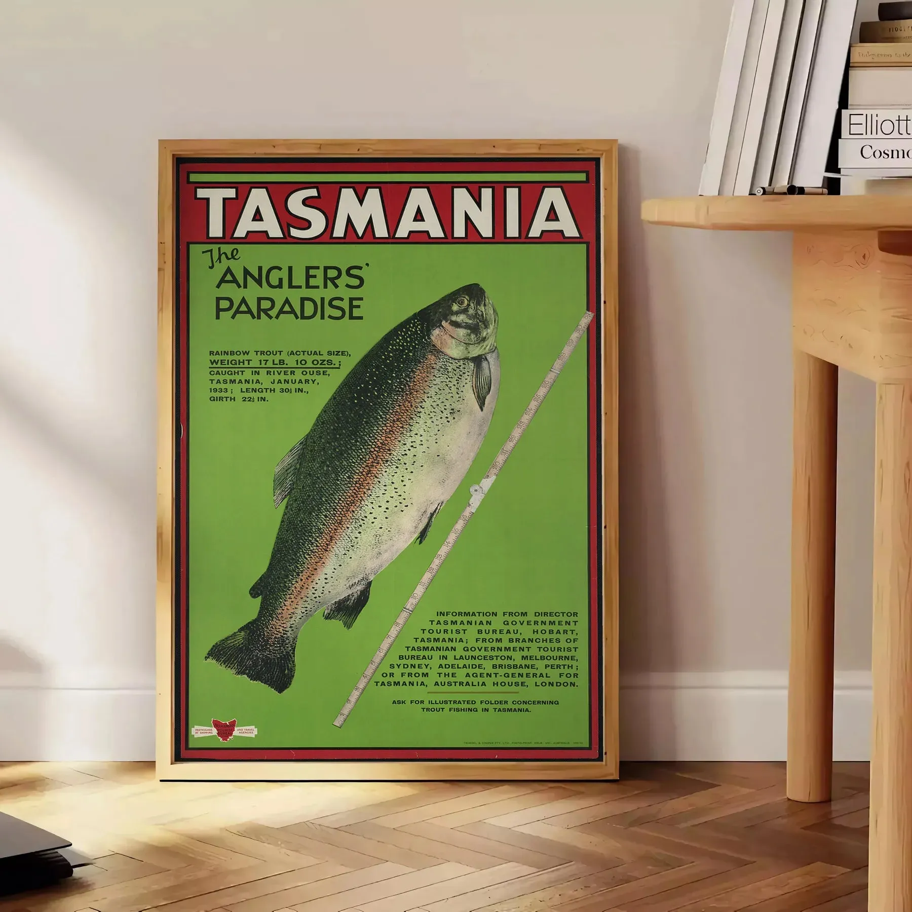 Tasmania Travel Poster Art Print