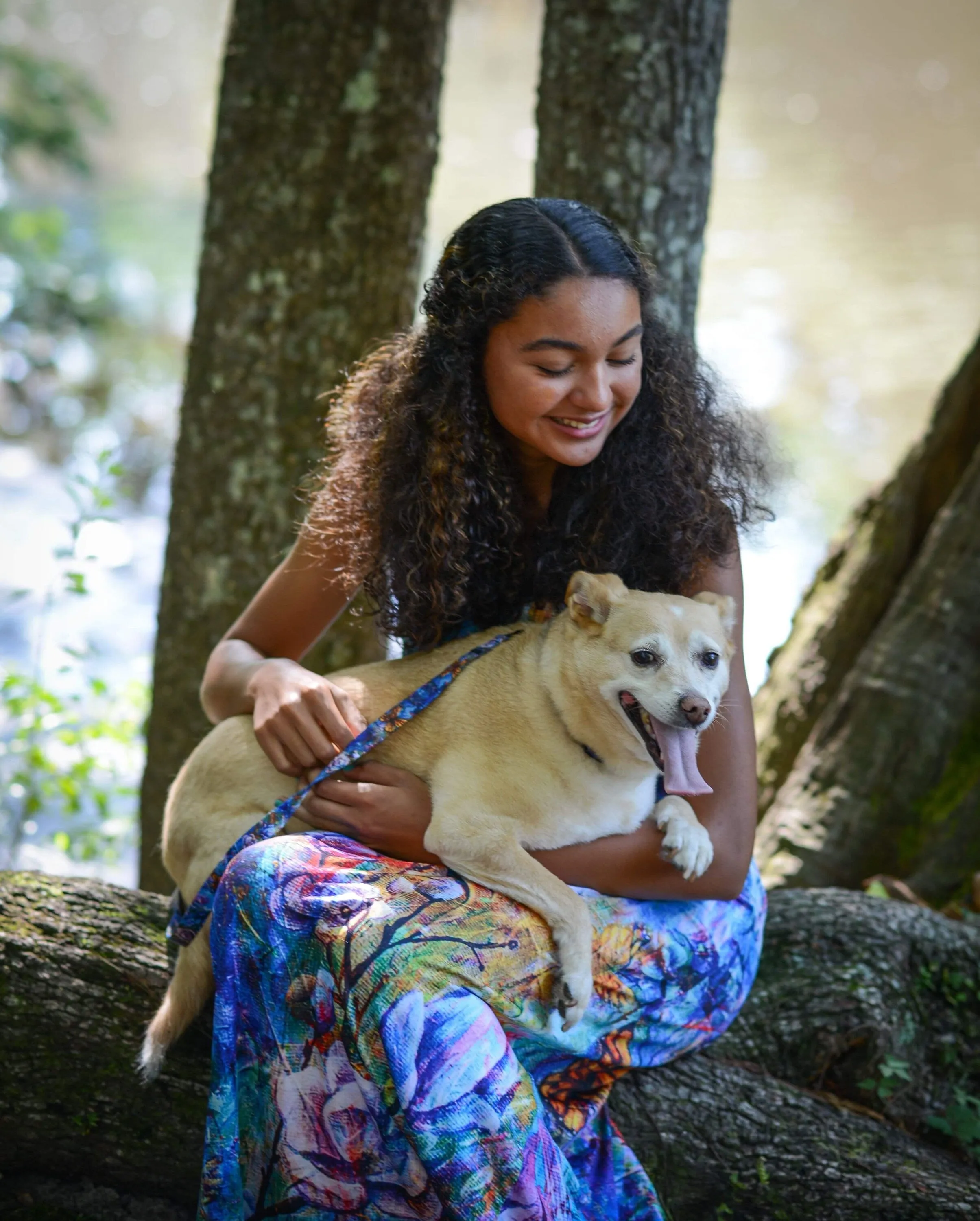 The Behold Collection Pet Fashion Collar and Leash sets for dogs by Sarah Camille Art