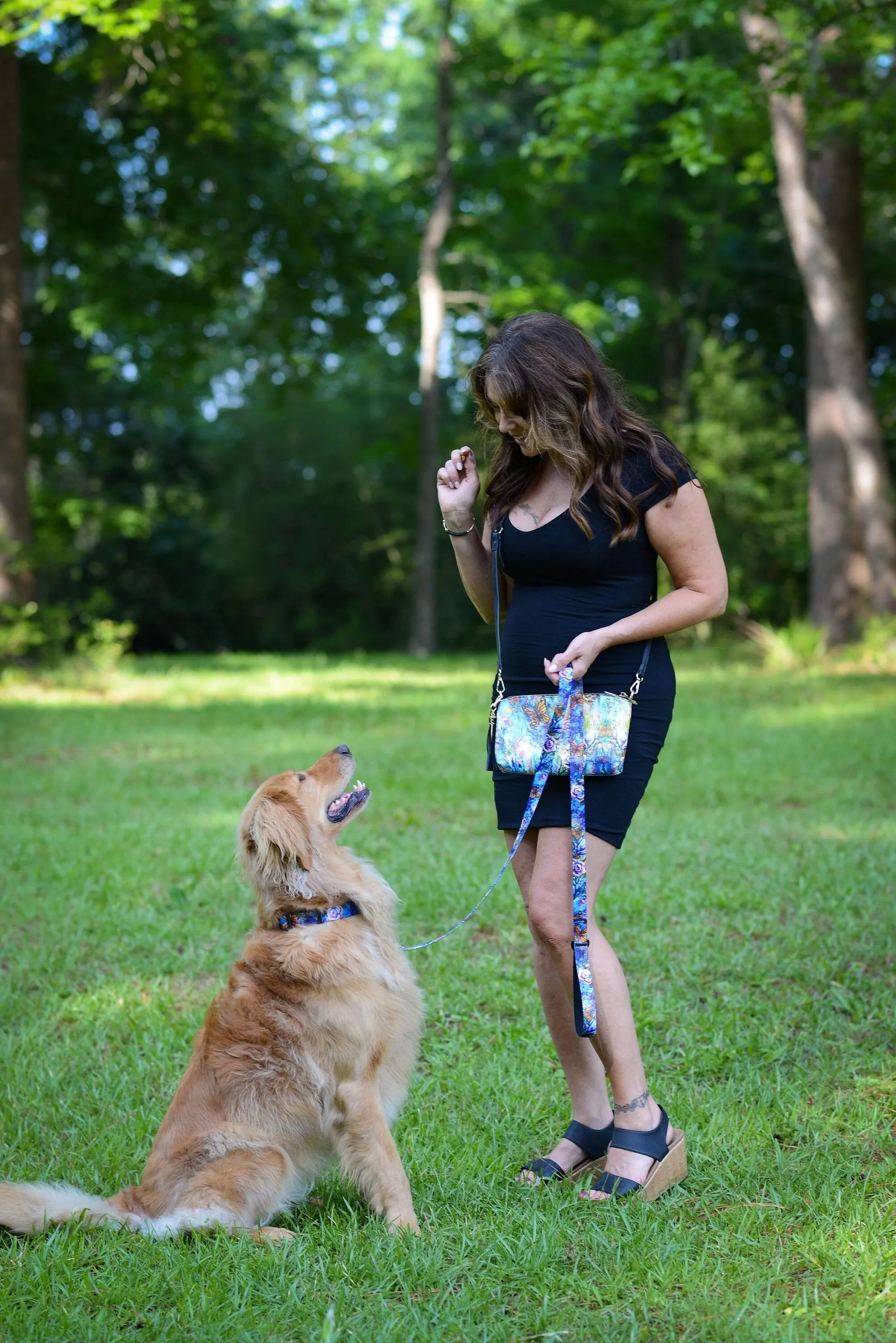 The Behold Collection Pet Fashion Collar and Leash sets for dogs by Sarah Camille Art