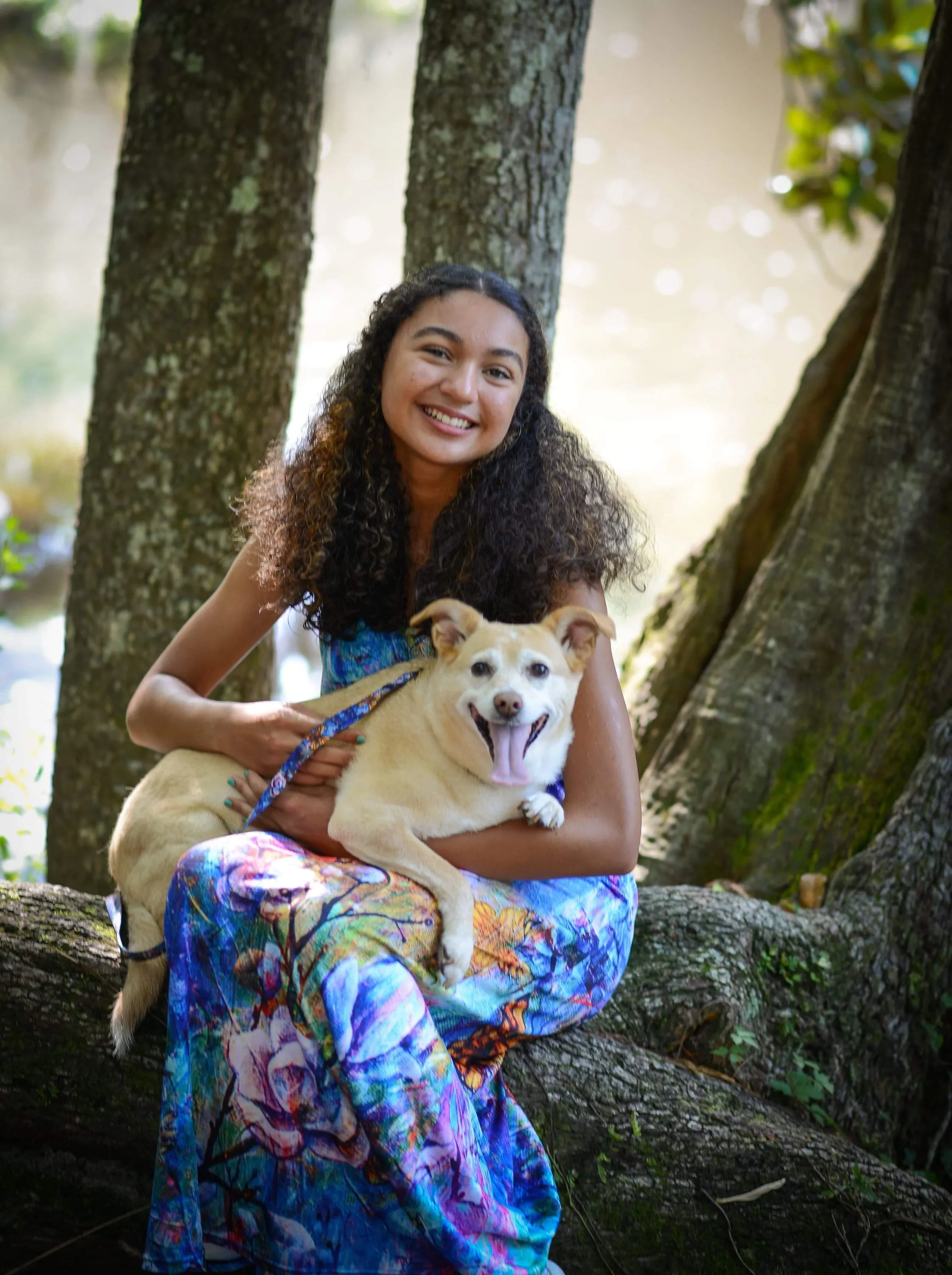 The Behold Collection Pet Fashion Collar and Leash sets for dogs by Sarah Camille Art