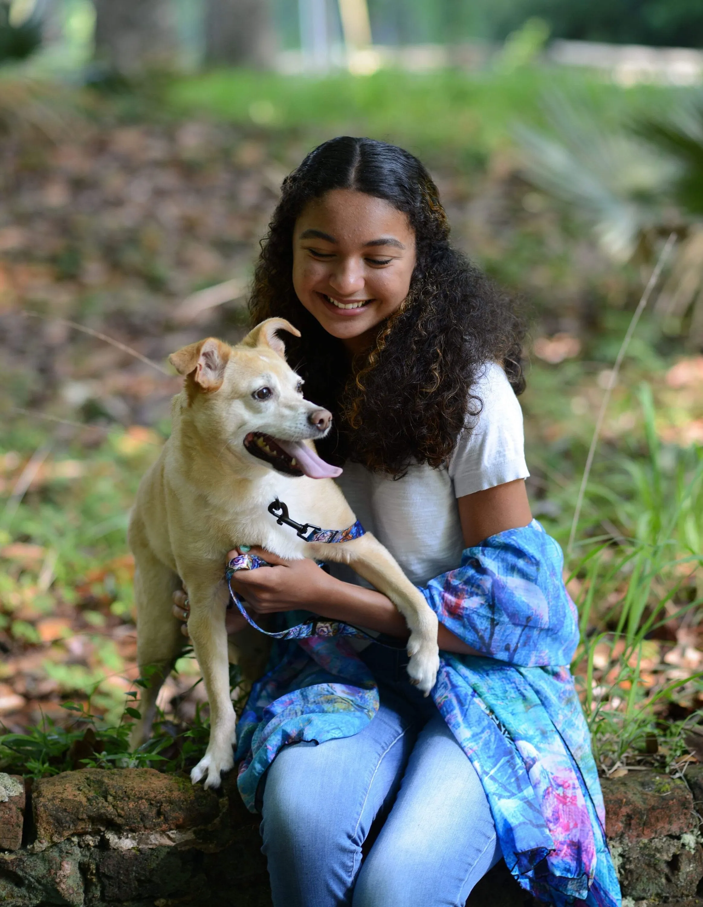 The Behold Collection Pet Fashion Collar and Leash sets for dogs by Sarah Camille Art