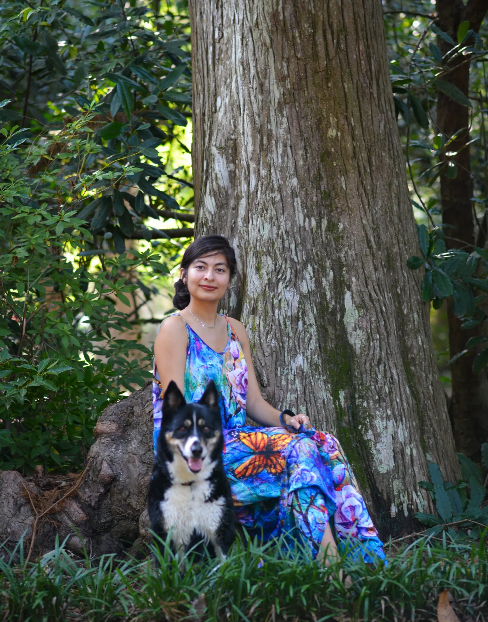The Behold Collection Pet Fashion Collar and Leash sets for dogs by Sarah Camille Art