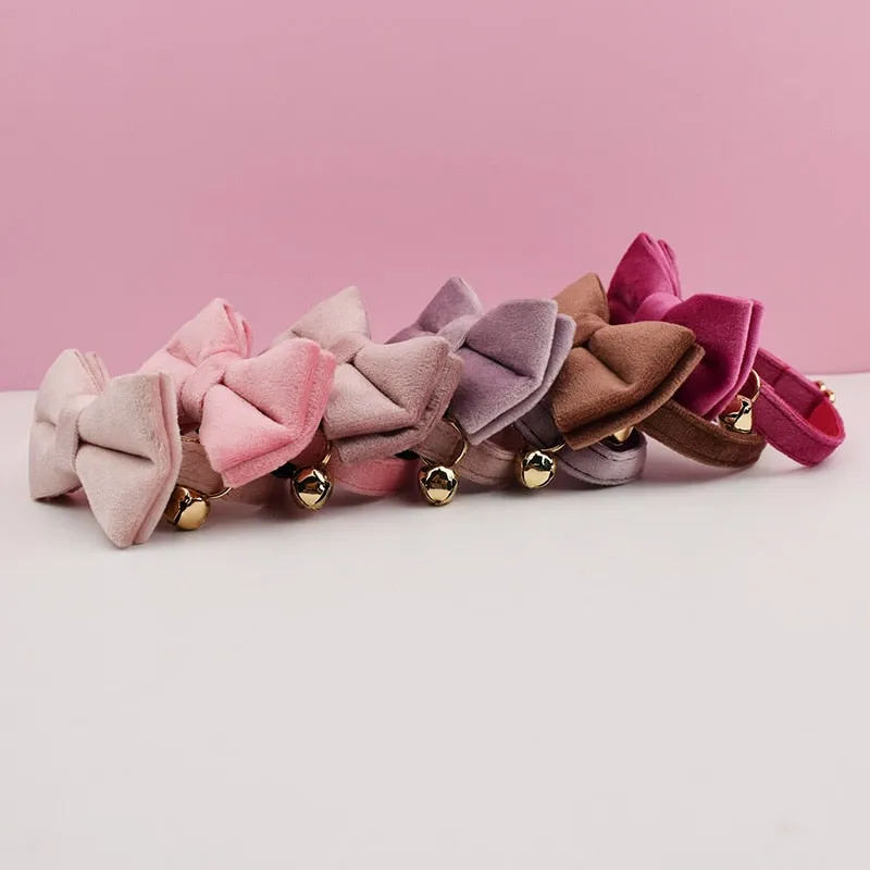 Velvet Charms: Personalized Collars and Bowties