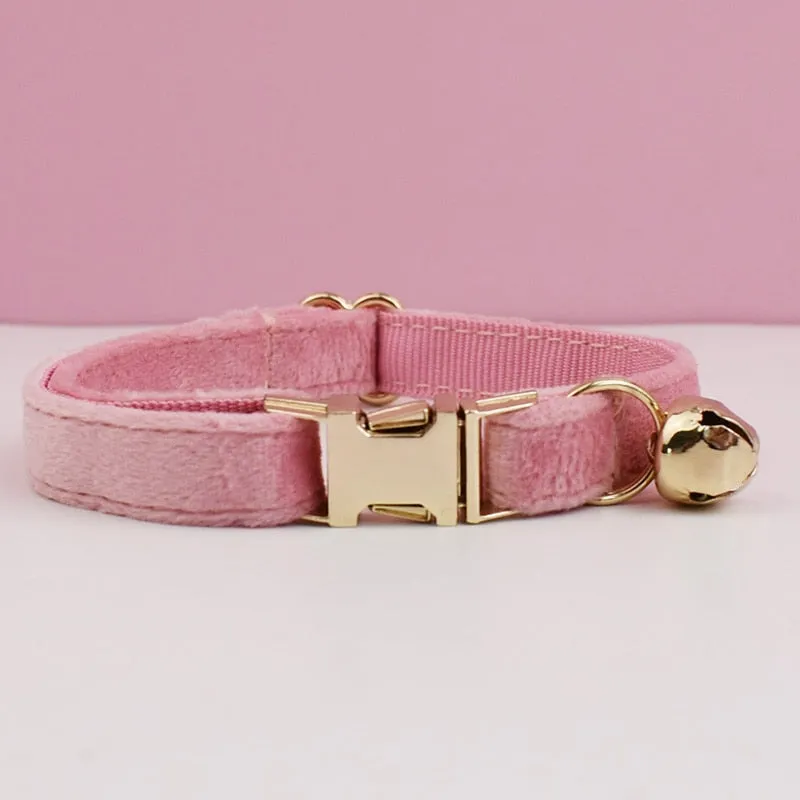 Velvet Charms: Personalized Collars and Bowties