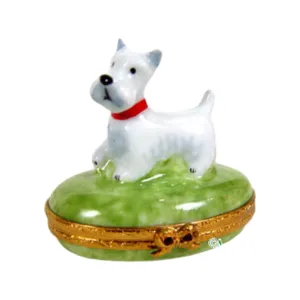Westie or Terrier Dog